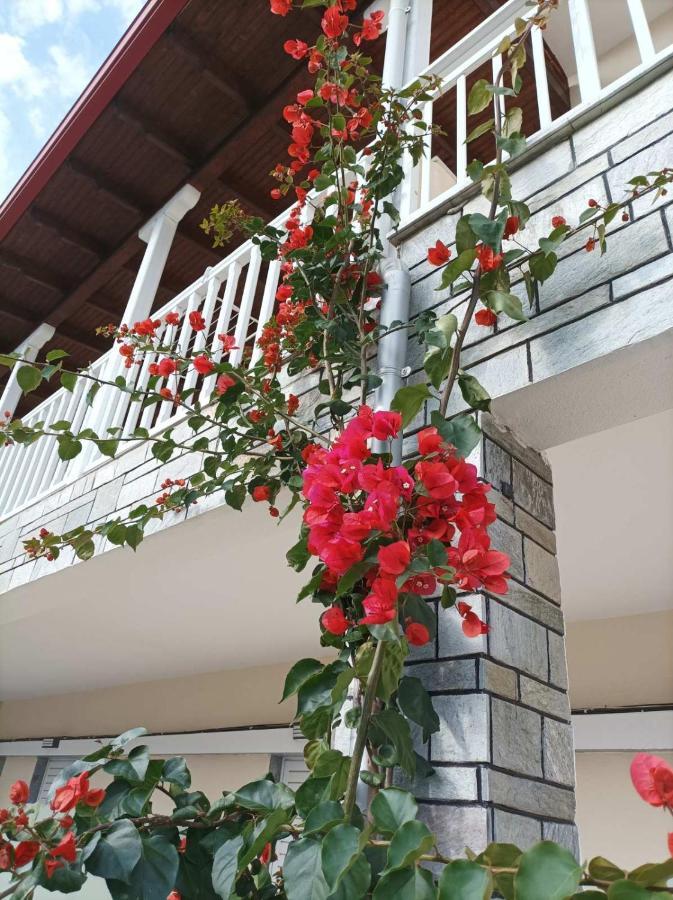Bella Terra Nature Living Asprovalta Exterior photo